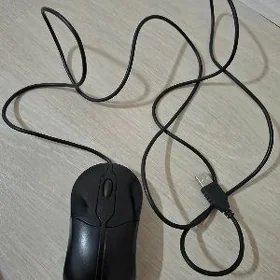 мышки