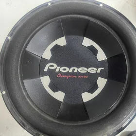 Pıoneer 1000