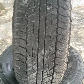 Dunlop 265-65-17