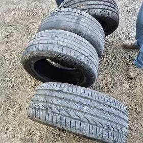225/55/17