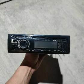pionerr