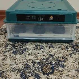 inkubator