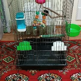 Клетка kletka