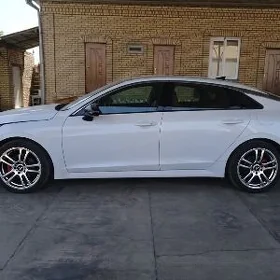 Diskalar Hyundai Kia zawodskoý