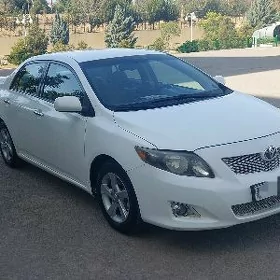 Toyota Corolla 2010
