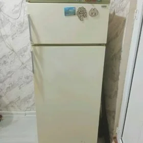 ssr holadelnik