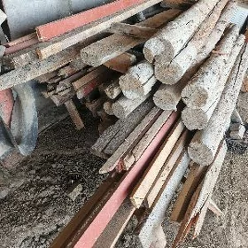 polluk agaç naw strapila