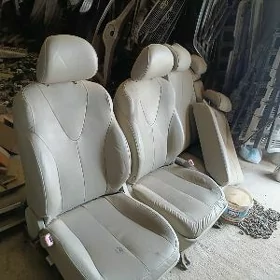 öküz kemri salon