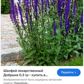 isgar alyas uborka