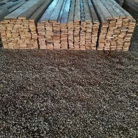polluk agaclar