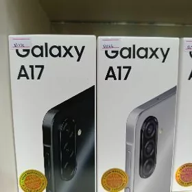  Garaşaryna A 17 8/256