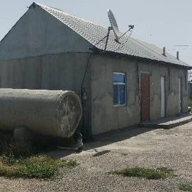 satlyk jaÿ