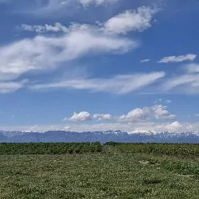 Arenda bos yer