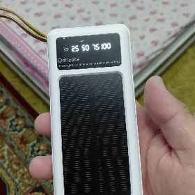 powerbank