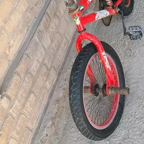 welsepet tigir welsopet kama