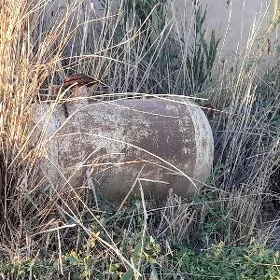 bocga