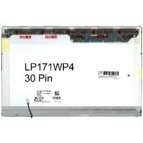 Ekran 17.1 30 pin