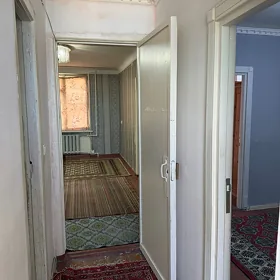 Arenda 3 Mik