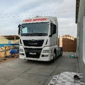 Man TGX 2019
