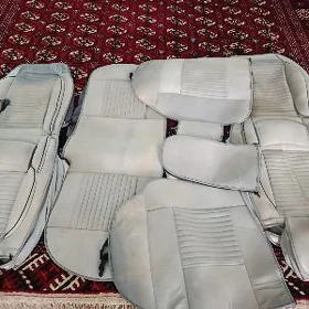 sidenya cehol