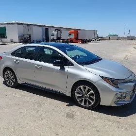 Toyota Corolla 2021