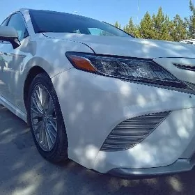 Toyota Camry 2019