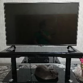 telewizir hemme zadi bile