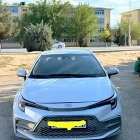 Toyota Corolla 2023