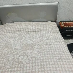 Şfaner