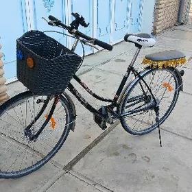 Welik 26 lyk