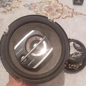 pioneer 300lik arginal