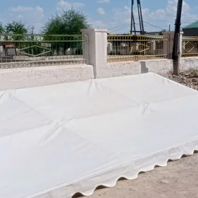 Palata