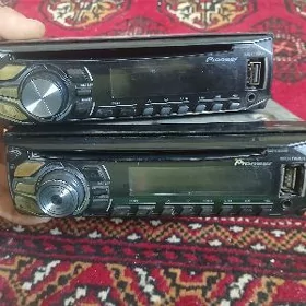 pioneer arginal