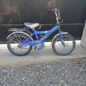 tigir 16lyk