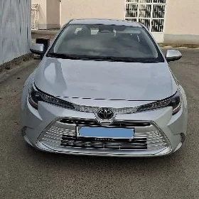 Toyota Corolla 2024
