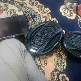 pioneer kalonka
