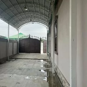 SATLYK PLAN 