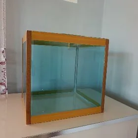 Akvaryum Аквариум