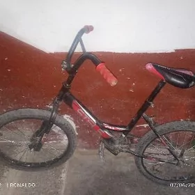 tigir
