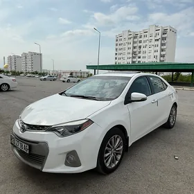 Toyota Corolla 2014