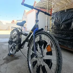iki aýakly BMW...  VELISOPET