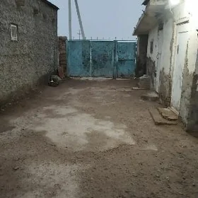 9kamsarda etež
