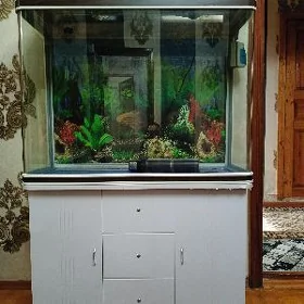 аквариум