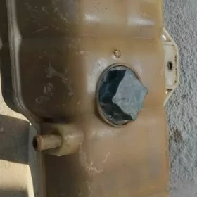 rastlny baçok