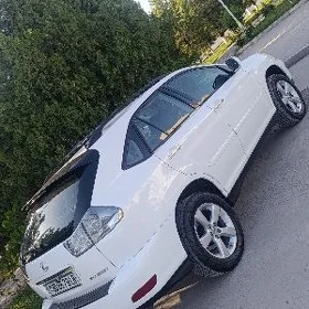 Lexus RX 330 2004