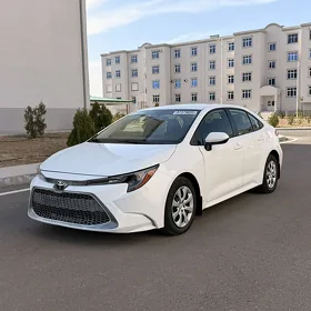Toyota Corolla 2021