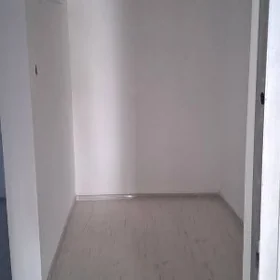 Gurtlydan pomeşeniýe aljak