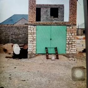 Öy, jaylar