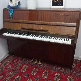 pionina