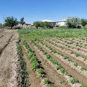 Boş mellek yer